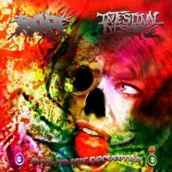 Intestinal Disgorge : Anti-Female Orchestra